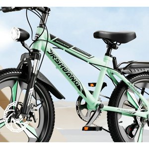 Mint Green Utility Mountain Bike