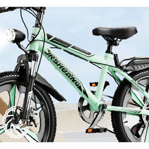 Mint Green Utility Mountain Bike