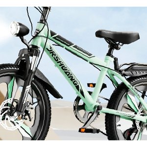 Mint Green Utility Mountain Bike