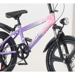 Purple Youth Mountain Bike