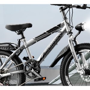 Silver Utility City Bike