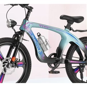 Teal Performance Electric Bike