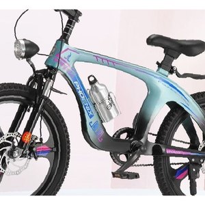 Teal Performance Electric Bike